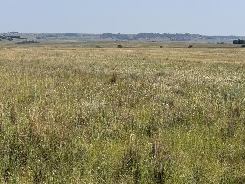 0 Bedroom Property for Sale in Bethlehem Rural Free State